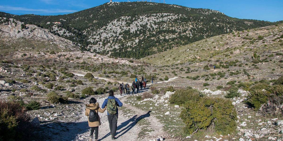 Hiking from Vamvakou — A Journey into Parnon’s Wild Heart